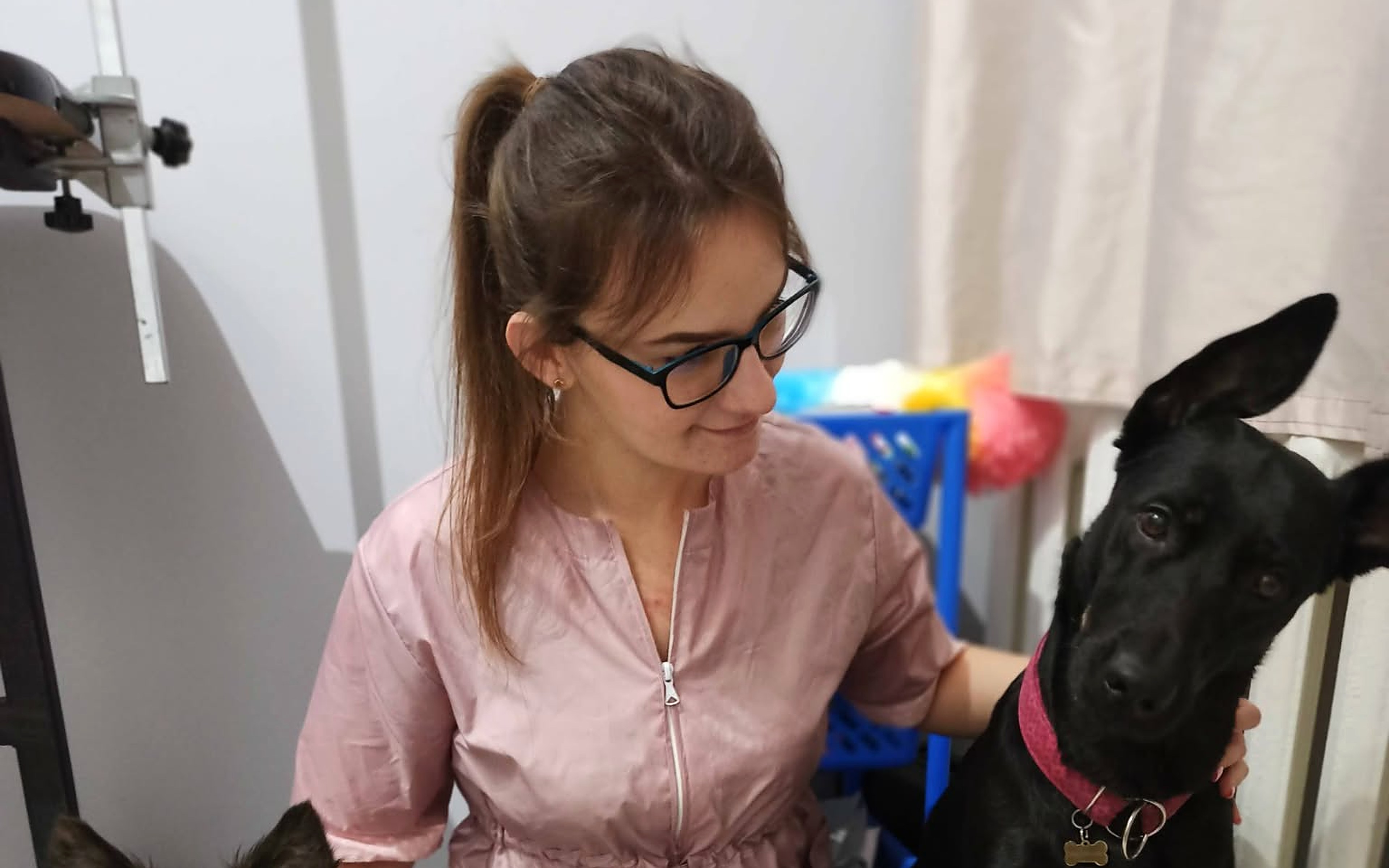 Aleksandra z psami w salonie Budka Groomera